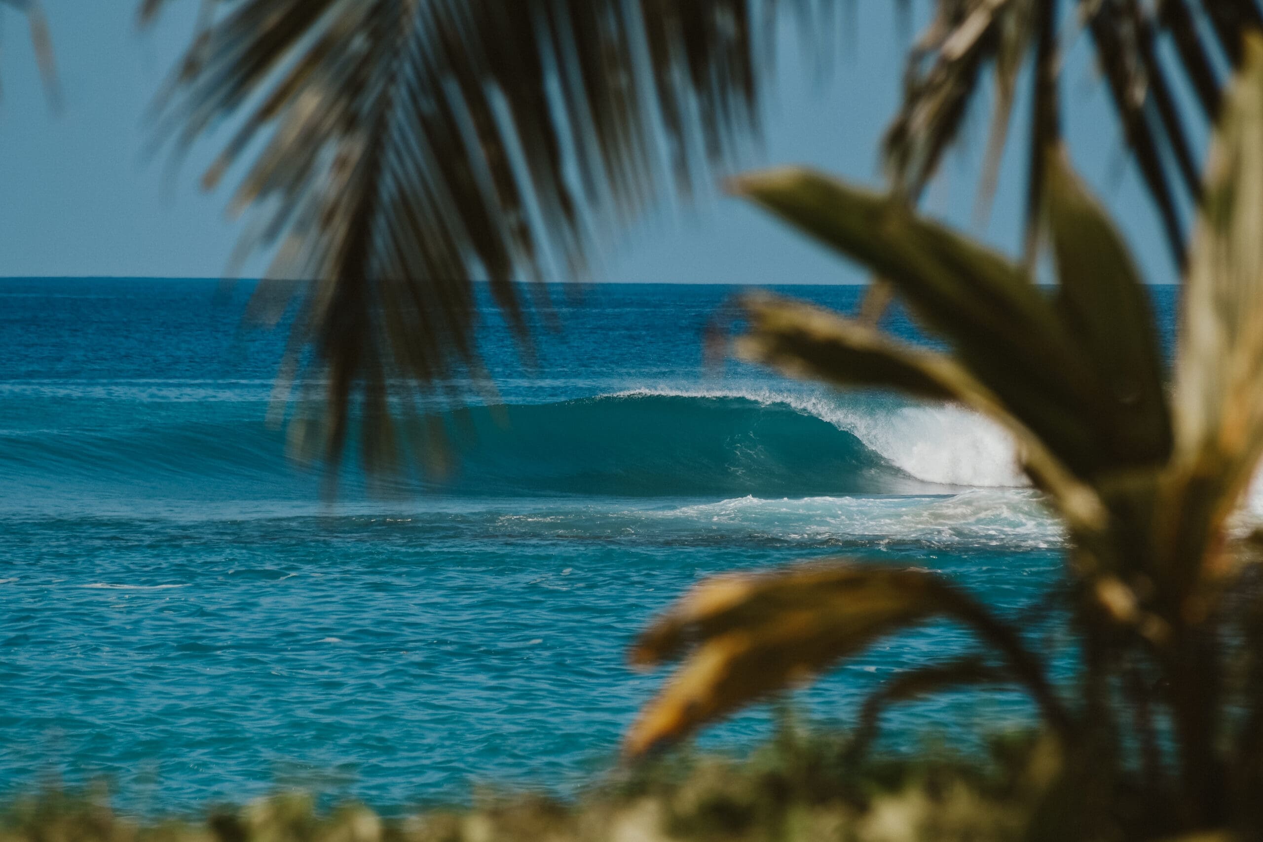 Application Closed: Villa Onu Mentawai is looking for a new Surf Guide Manager