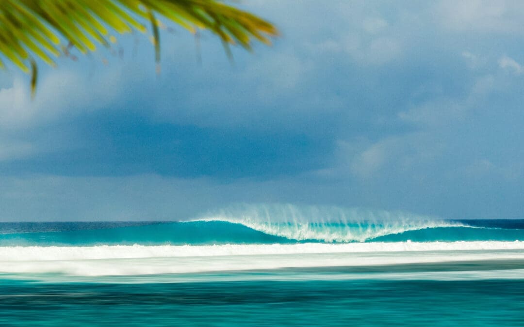 The Ultimate Guide For Your First Surf at Hollow Trees Mentawai